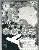 梦舞飞扬Ⅱ