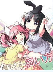 魔法少女的饲养法